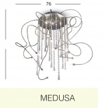 Araa Medusa